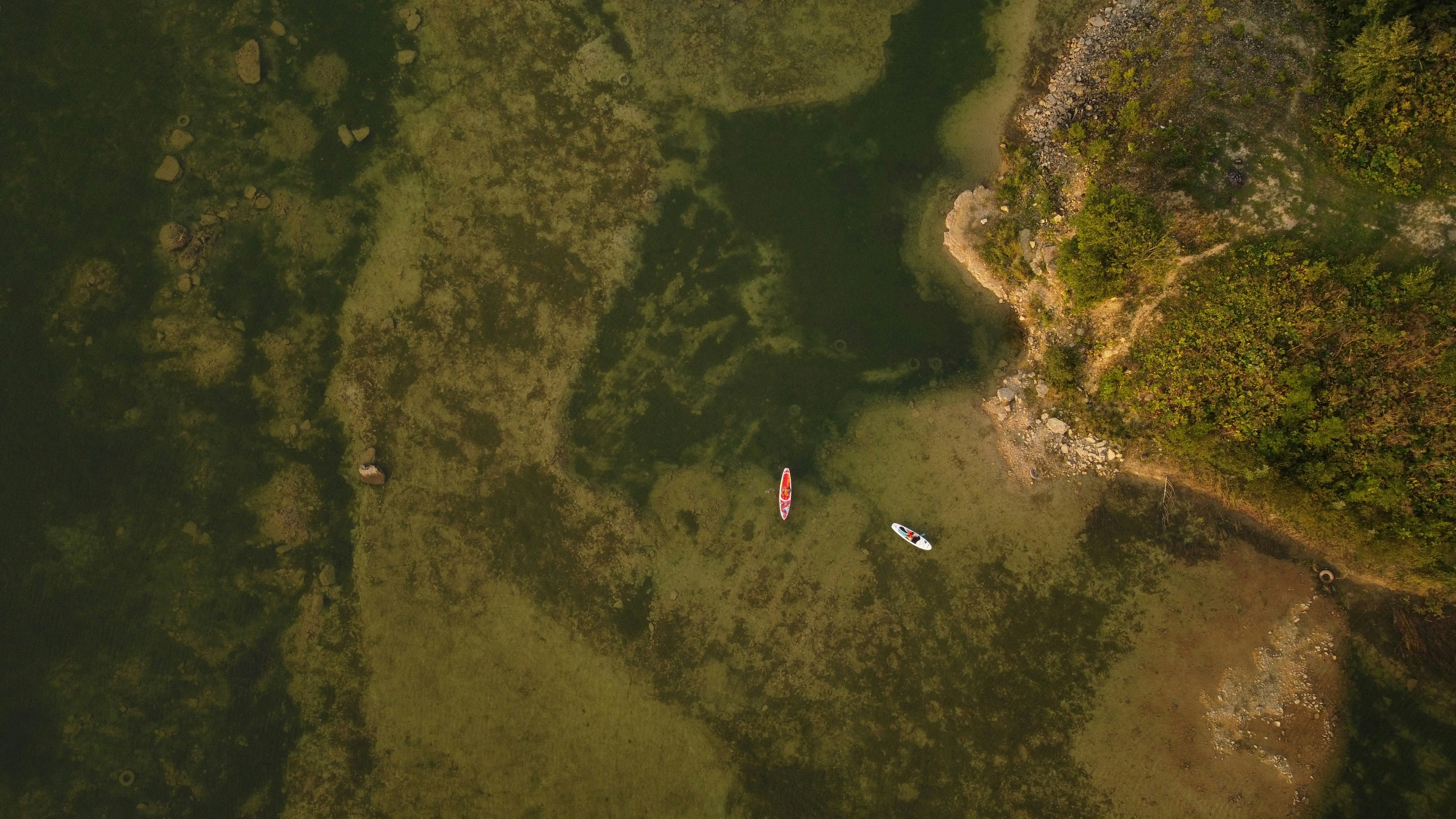 aerial view of green trees and river